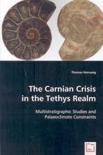 The Carnian Crisis in the Tethys Realm