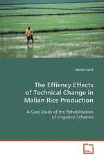 The Effiency Effects of Technical Change in MalianRice Production