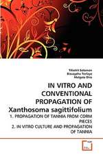 In Vitro and Conventional Propagation of Xanthosoma sagittifolium