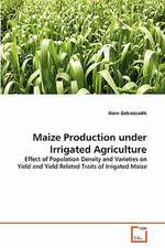 Maize Production Under Irrigated Agriculture