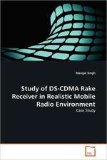 Study of DS-CDMA Rake Receiver in Realistic Mobile Radio Environment