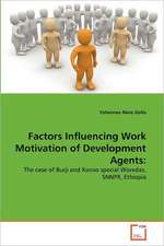 Factors Influencing Work Motivation of Development Agents: