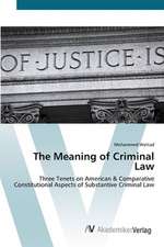 The Meaning of Criminal Law