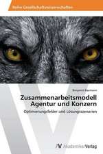 Zusammenarbeitsmodell Agentur und Konzern