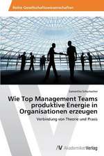 Wie Top Management Teams produktive Energie in Organisationen erzeugen