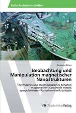 Beobachtung und Manipulation magnetischer Nanostrukturen