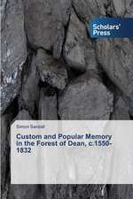 Custom and Popular Memory in the Forest of Dean, C.1550-1832: The Saudi Experience