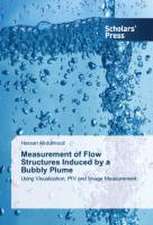 Measurement of Flow Structures Induced by a Bubbly Plume