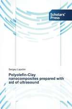 Polyolefin-Clay Nanocomposites Prepared with Aid of Ultrasound: A Legal Perspective