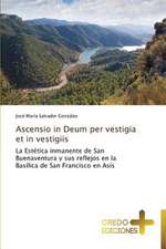 Ascensio in Deum Per Vestigia Et in Vestigiis: Don, Identidad y Mision