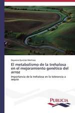 El Metabolismo de La Trehalosa En El Mejoramiento Genetico del Arroz: Propiedades Estructurales, Opticas y Electricas