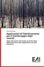 Applicazioni Di Telerilevamento Per Il Monitoraggio Degli Incendi: A Focus on Earthquake Models