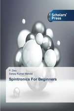 Spintronics for Beginners: Expand on Strengths or Focus on Deficits