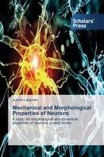 Mechanical and Morphological Properties of Neurons