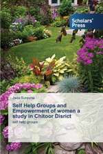 Self Help Groups and Empowerment of Women a Study in Chitoor Disrict: An Effective and Efficient Response to Crime