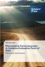 Phenomenal Consciousness: A Conative-Evaluative Point of View