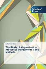 The Study of Magnetization Processes Using Monte Carlo Methods