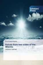 Voices from Two Sides of the Atlantic: A Productivity Growth Perspective