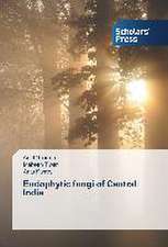 Endophytic Fungi of Central India: Study of Mandi Community