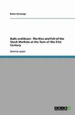 Bulls and Bears - The Rise and Fall of the Stock Markets at the Turn of the 21st Century