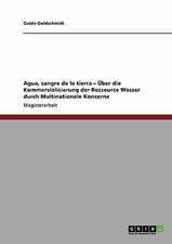 Agua, sangre de la tierra - Über die Kommerzialisierung der Ressource Wasser durch Multinationale Konzerne