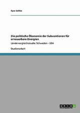 Die politische Ökonomie der Subventionen für erneuerbare Energien