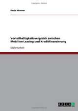 Vorteilhaftigkeitsvergleich zwischen Mobilien-Leasing und Kreditfinanzierung