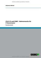 ITIL® V3 und COBIT - Rahmenwerke für IT-Governance