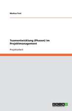 Teamentwicklung (Phasen) im Projektmanagement