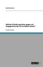 Welche Gründe sprechen gegen ein Engagement der EU im Nahen Osten?