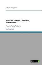 Politische Systeme - Transition, Klassifikation