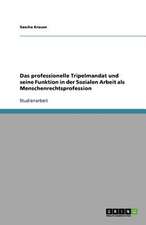 Das professionelle Tripelmandat und seine Funktion in der Sozialen Arbeit als Menschenrechtsprofession