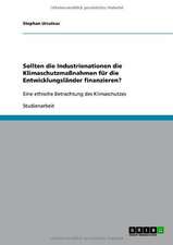 Sollten die Industrienationen die Klimaschutzmaßnahmen für die Entwicklungsländer finanzieren?