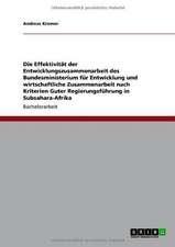 Die Effektivität der Entwicklungszusammenarbeit des Bundesministerium für Entwicklung und wirtschaftliche Zusammenarbeit nach Kriterien Guter Regierungsführung in Subsahara-Afrika