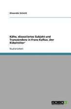 Kälte, dissoziiertes Subjekt und Transzendenz in Franz Kafkas ,Der Kübelreiter'