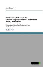 Geschlechterdifferenzierte Gesetzesfolgenabschätzung und Gender Impact Assessment