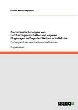 Die Herausforderungen von Luftfrachtgesellschaften mit eigenen Flugzeugen im Zuge der Weltwirtschaftskrise