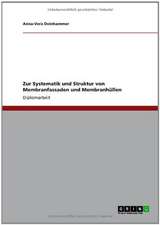 Zur Systematik und Struktur von Membranfassaden und Membranhüllen