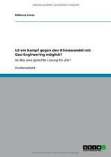 Ist ein Kampf gegen den Klimawandel mit Geo-Engineering möglich?