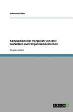 Konzeptioneller Vergleich von drei Aufsätzen zum Organisationslernen