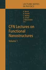 CFN Lectures on Functional Nanostructures: Volume 1