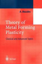 Theory of Metal Forming Plasticity: Classical and Advanced Topics