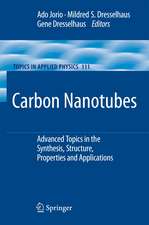 Carbon Nanotubes: Advanced Topics in the Synthesis, Structure, Properties and Applications