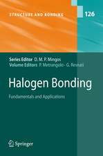 Halogen Bonding: Fundamentals and Applications