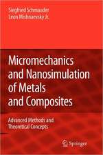 Micromechanics and Nanosimulation of Metals and Composites: Advanced Methods and Theoretical Concepts