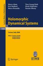 Holomorphic Dynamical Systems: Lectures given at the C.I.M.E. Summer School held in Cetraro, Italy, July 7-12, 2008