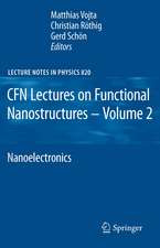 CFN Lectures on Functional Nanostructures - Volume 2: Nanoelectronics