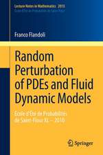 Random Perturbation of PDEs and Fluid Dynamic Models: École d’Été de Probabilités de Saint-Flour XL – 2010