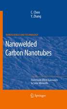 Nanowelded Carbon Nanotubes: From Field-Effect Transistors to Solar Microcells