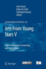 Jets From Young Stars V: High Performance Computing and Applications